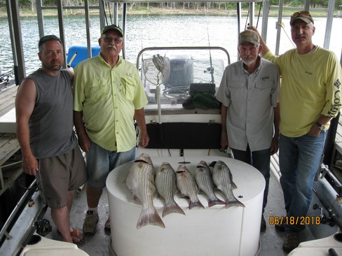 Nice Striped Bass